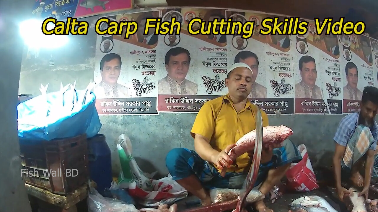 Calta Carp Fish Cutting Skills In Fish Cutting Market-Catla Carp Fish-Fish Wall BD