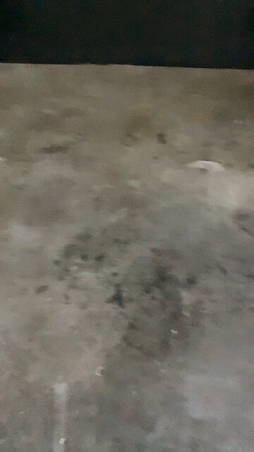 Pun rip headphone users