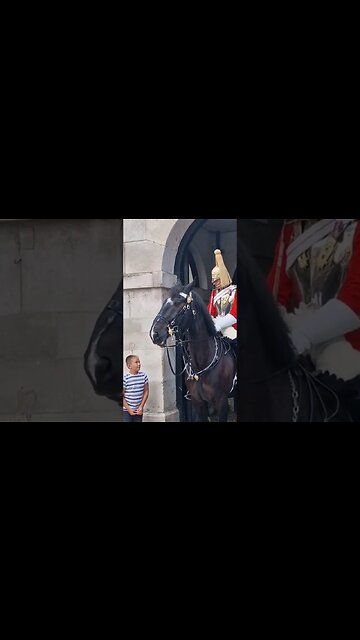 Guard encourages young boy to touch the horse #horseguardsparade