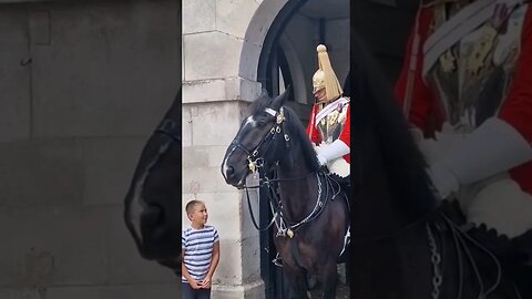 Guard encourages young boy to touch the horse #horseguardsparade
