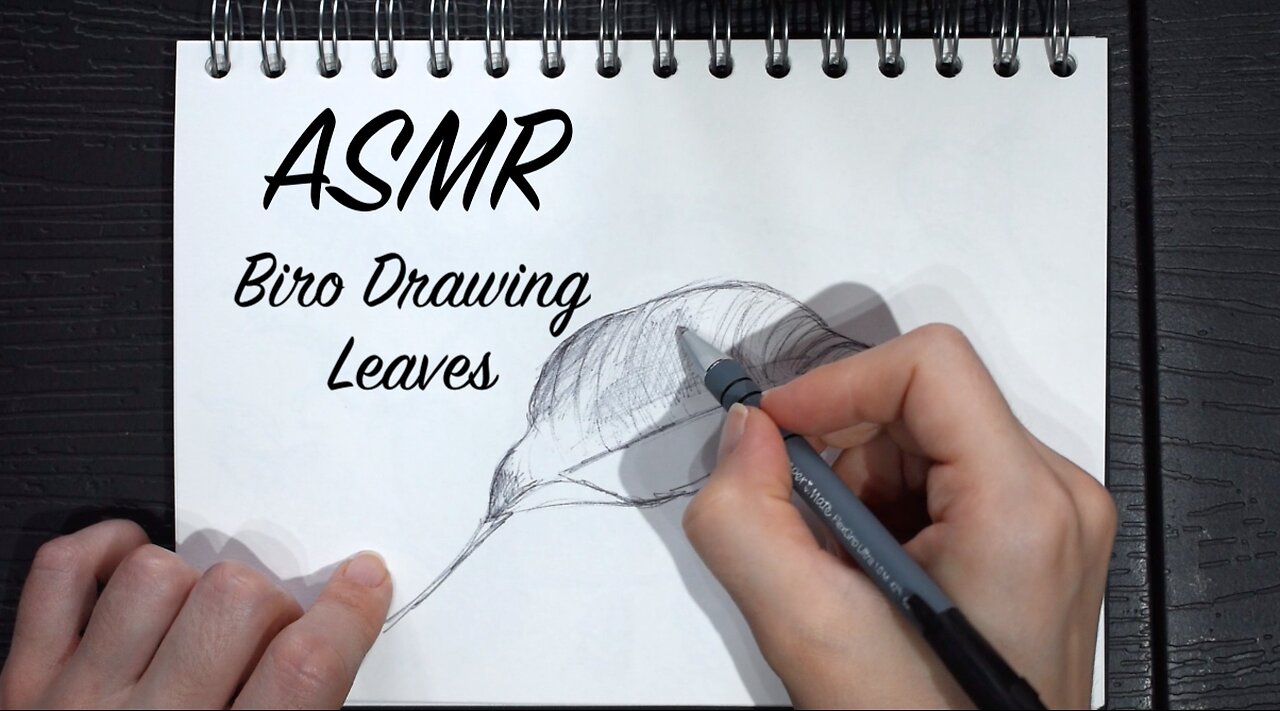 ASMR Quietly Sketching Next to You (No Talking) | Biro Leaves