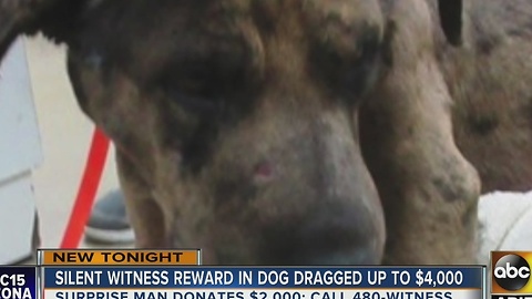 $9k reward offered after dog dragged by car