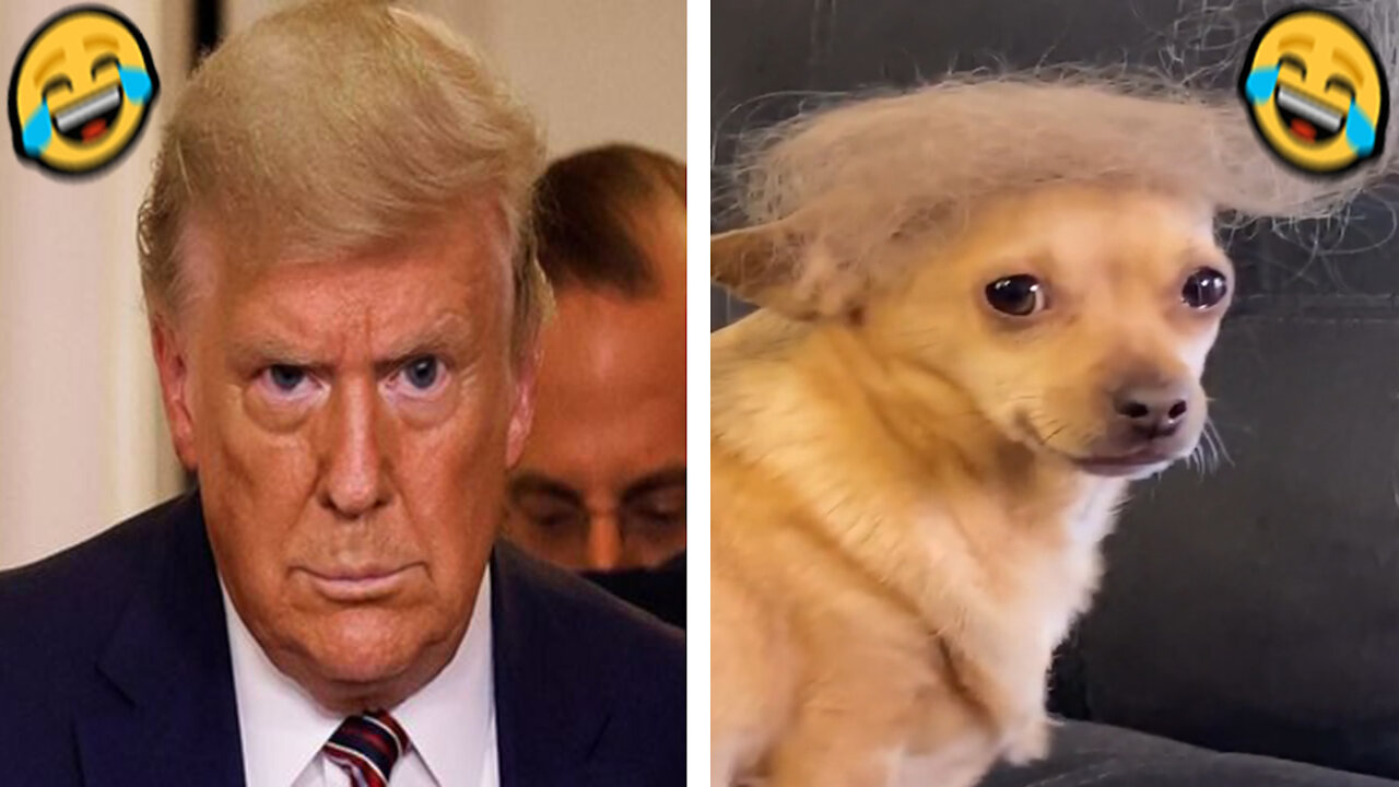 I can not stop smiling 🤣🤣🤣