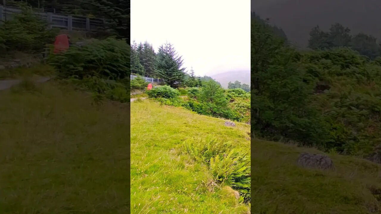 The sound of light rain on The West Highland Way Scotland #westhighlandway