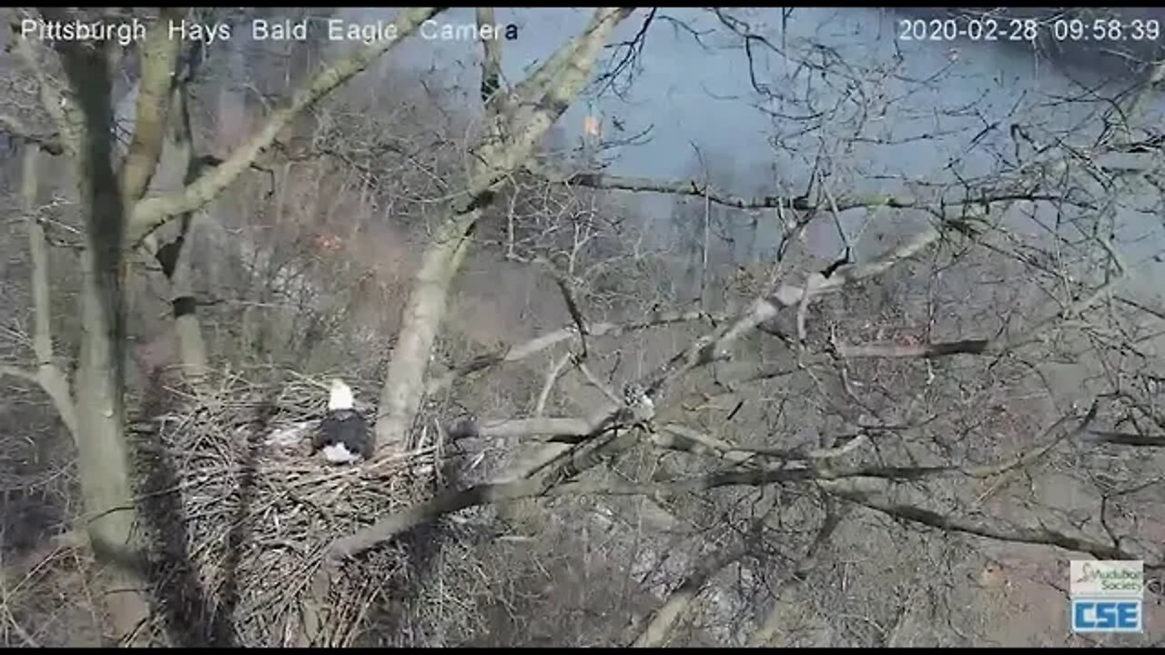 Hays Eagles Nest Intruder 22820 958 am