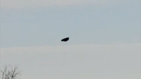 Black Unknown Object Moves over Michigan