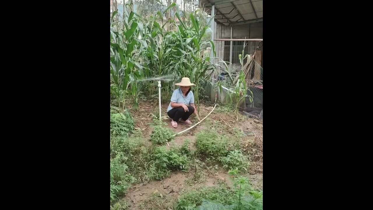 Smart gadgets