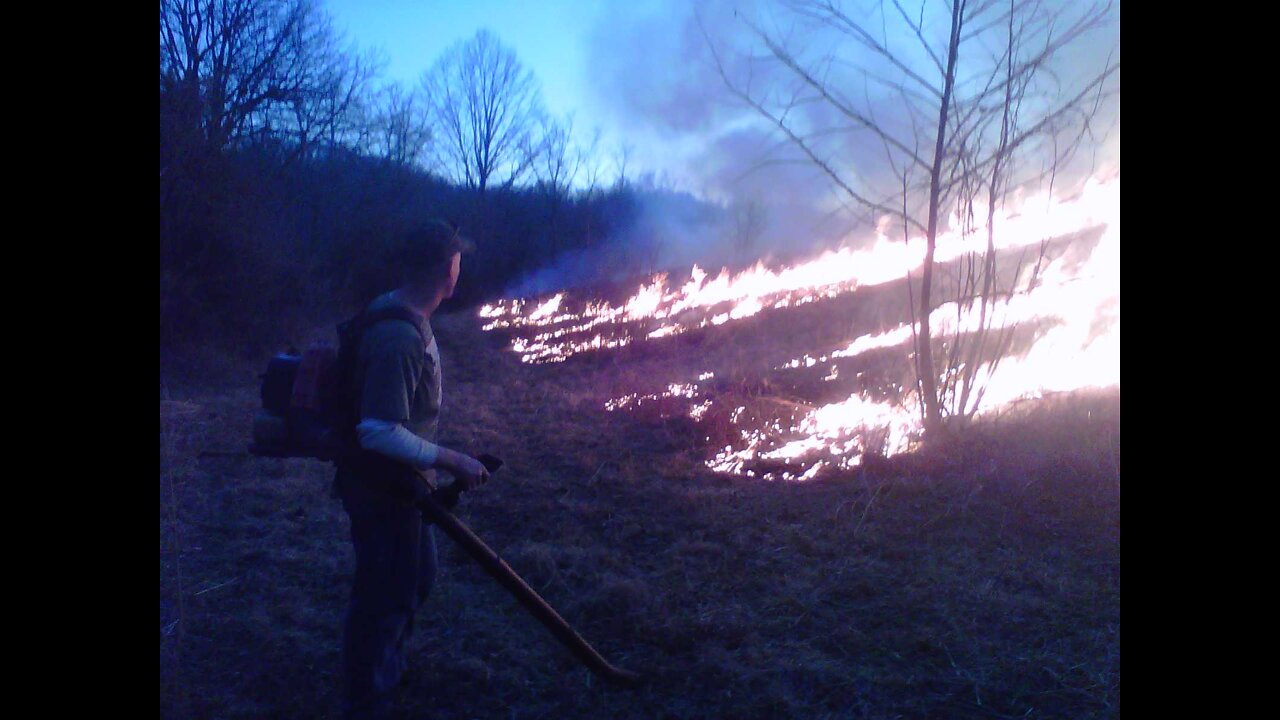 Burning Native Warm Season Grasses