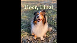 Doer, Final 22520223