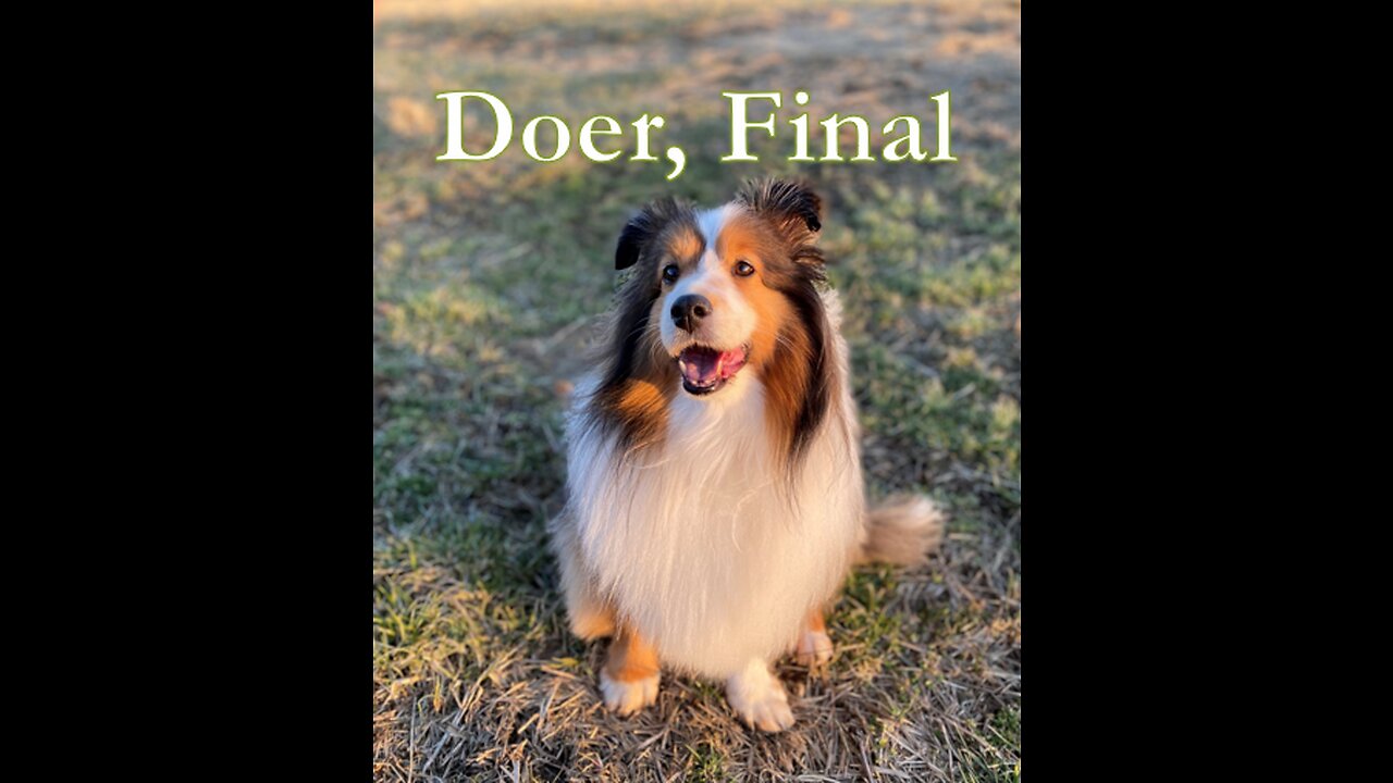 Doer, Final 22520223