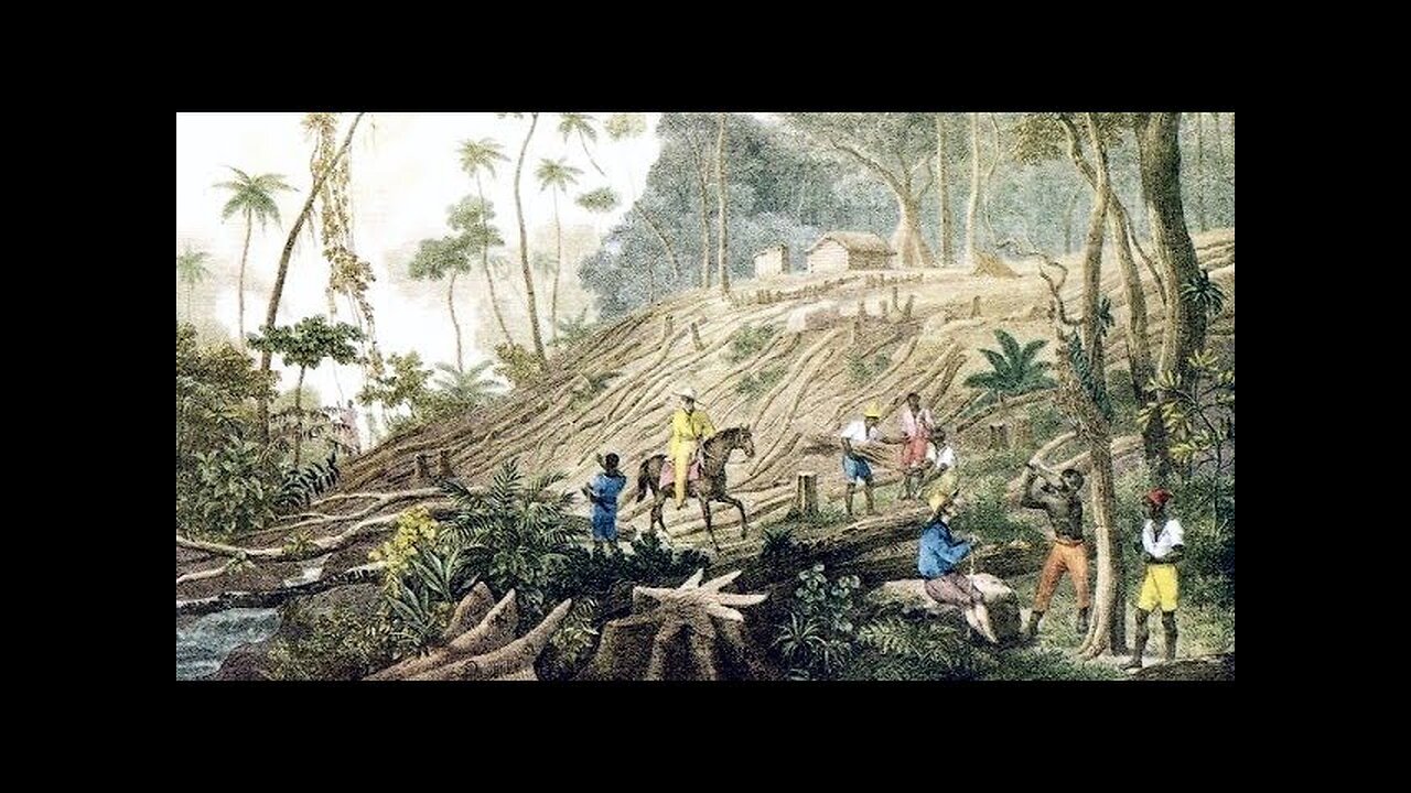 History of Brazil - #3 Onset of the colonization