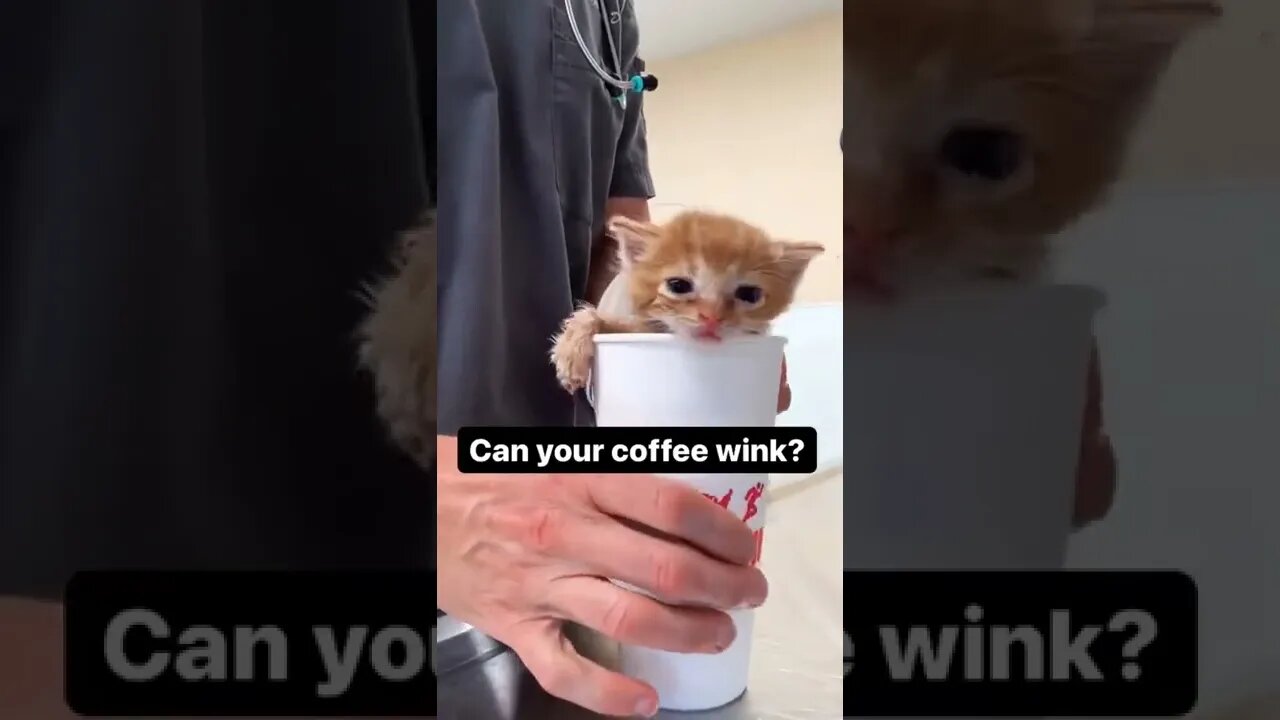 wink 😉