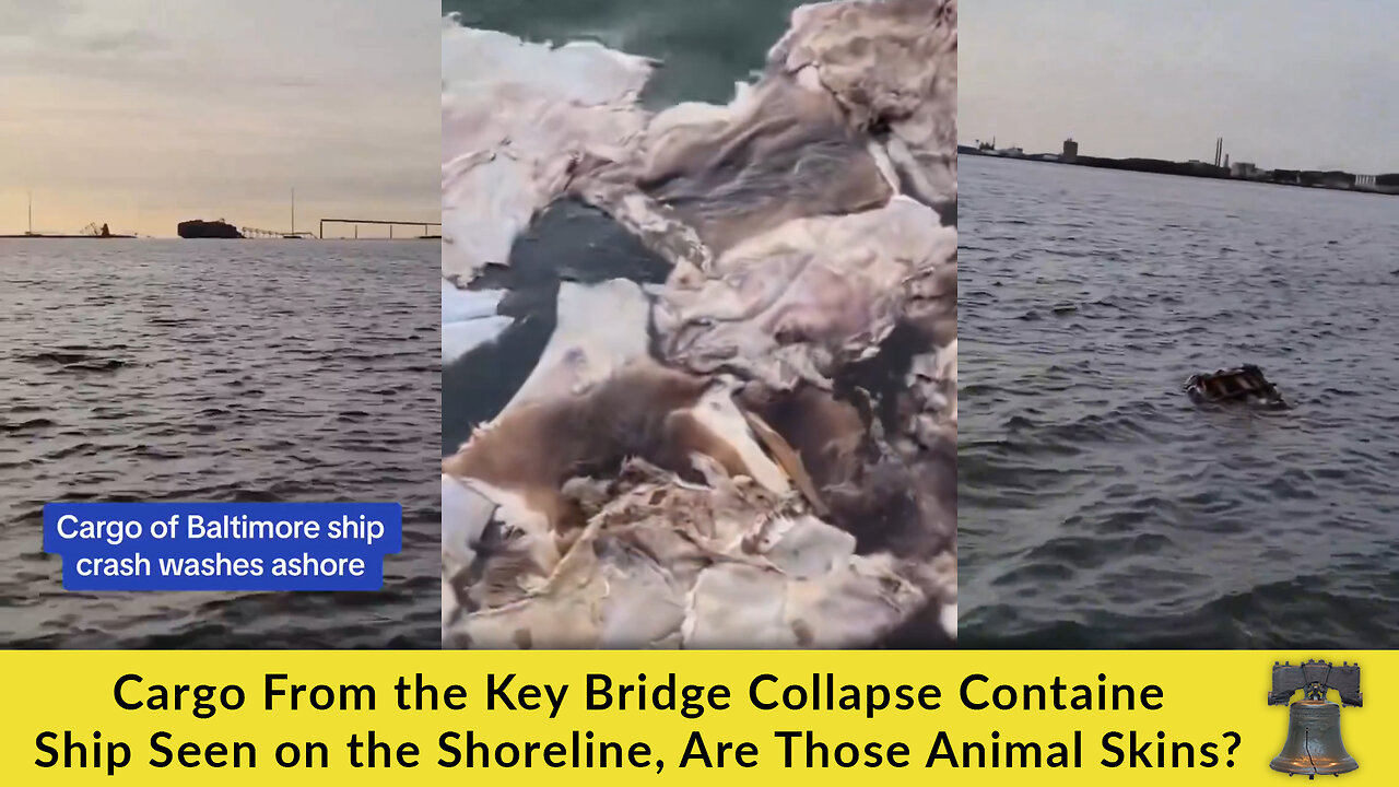 Cargo From the Key Bridge Collapse Container Ship Seen on the Shoreline, Are Those Animal Skins?