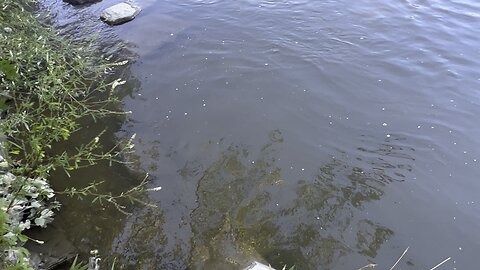 Muddy Humber River waters