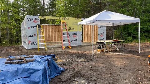 Standing and Sheathing Walls On The Shed