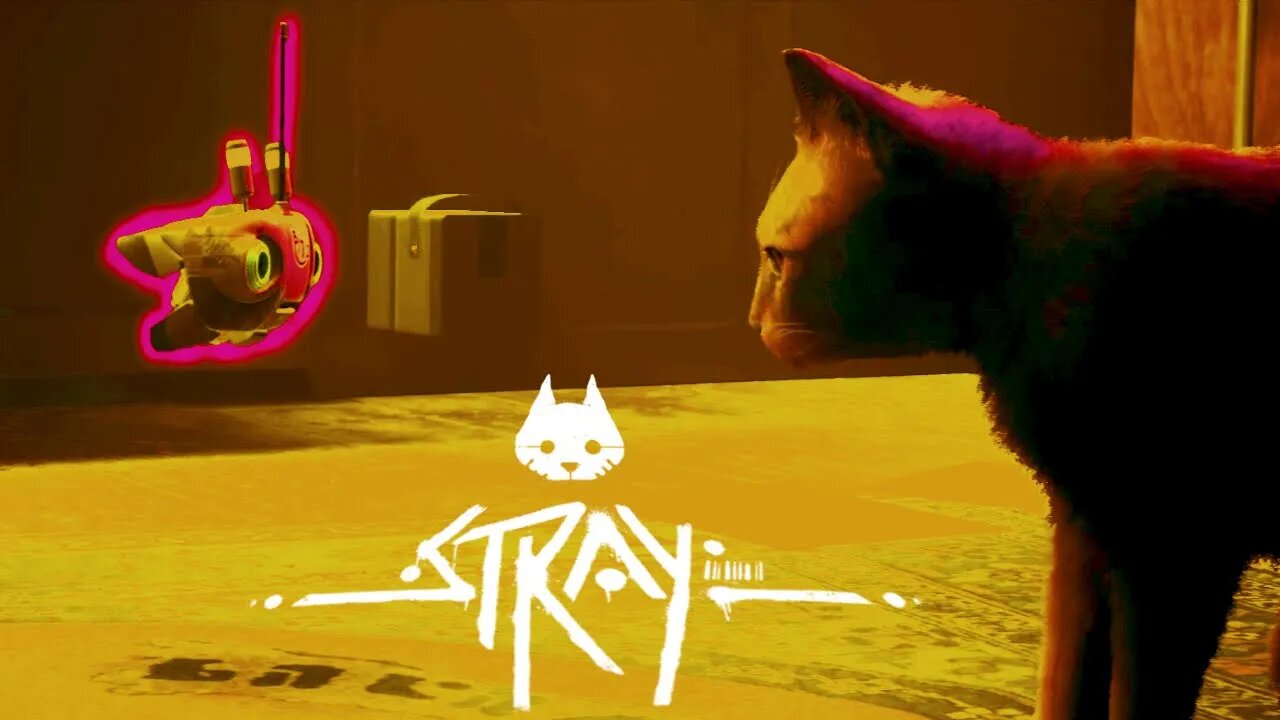 Stray Meets Chotu ROBO - Stray Gameplay | Stray Gameplay Part 2