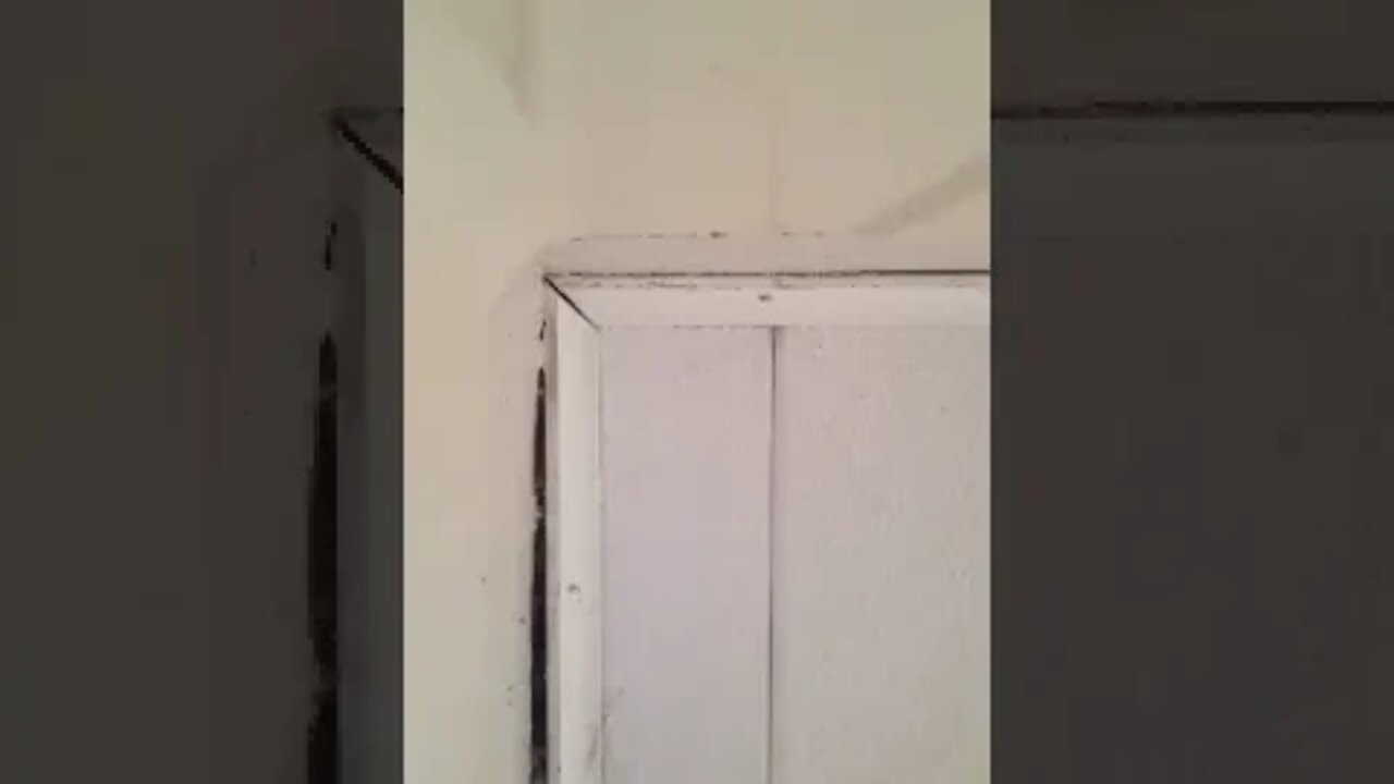 Two weeks of cold showers part 11 shower 10