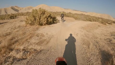 Peach Valley - Racing to Meet Morgan!