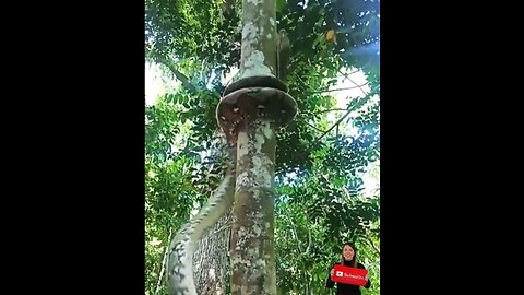 Omg😱different*snake* serpent*has*never*seen this*way_🙈😱