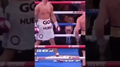 Golovkin&Canelo #shorts #shortsvideo #respect #boxing