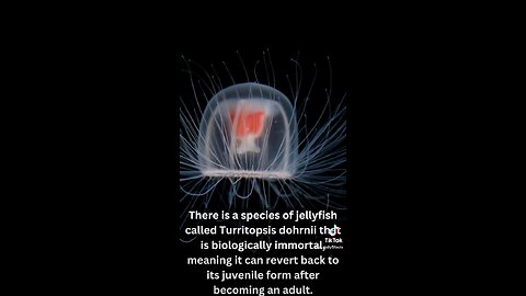 Daily dose of Facts and knowledge day 1. #facts #dailyfacts #interestingfact #funfacts