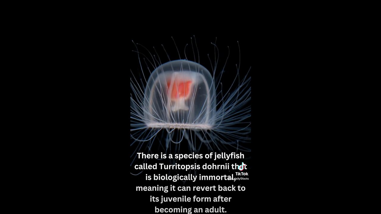 Daily dose of Facts and knowledge day 1. #facts #dailyfacts #interestingfact #funfacts