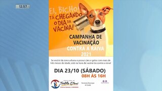 Campanha de vacinação antirrábica começa no sábado em Teófilo Otoni