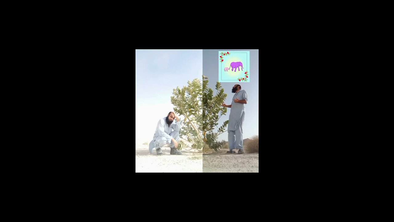shararati#rumble#viral