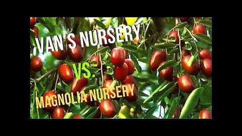 Visiting Van’s Nursery and Magnolia Nursery