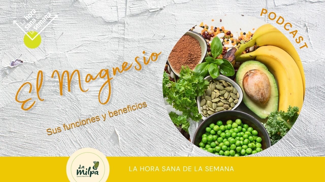 El Magnesio - Sus Funciones y beneficios