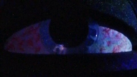 Stargazer Live in the G.E.M. Portal.