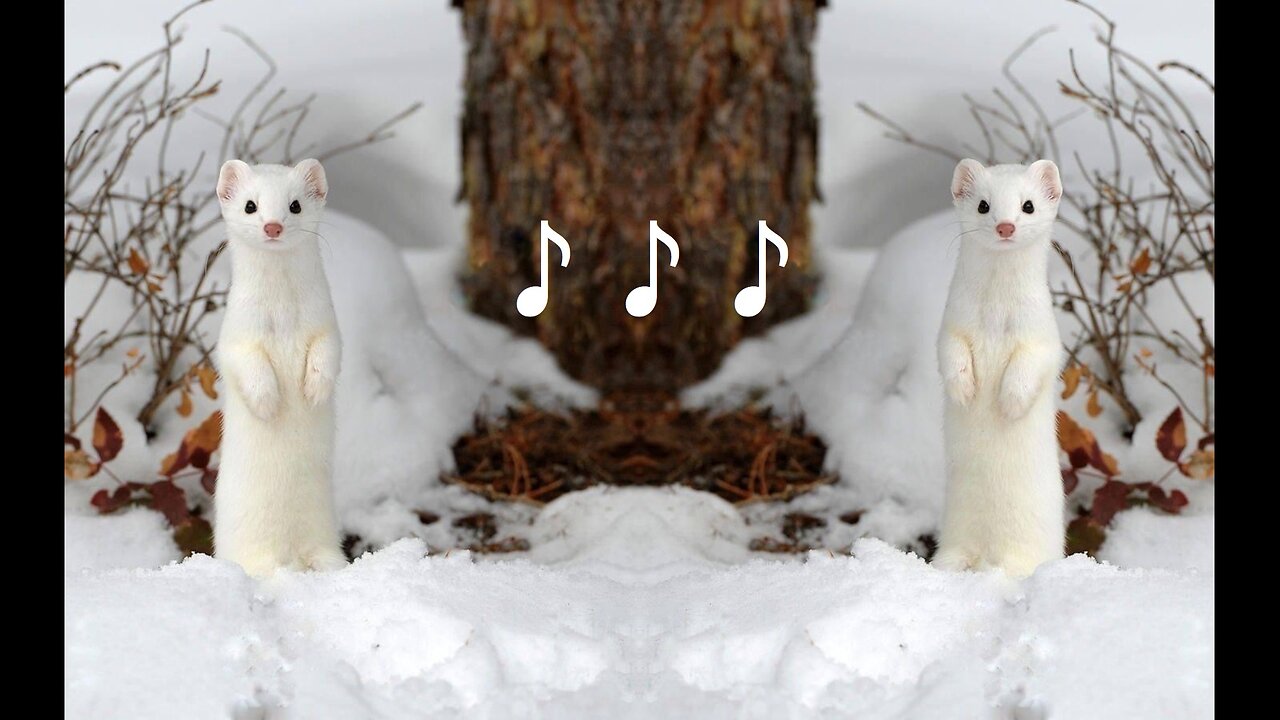 ♪ Music Mix ♪ You Know I Can Dance and Love to Boogie Stop All the Dancing
