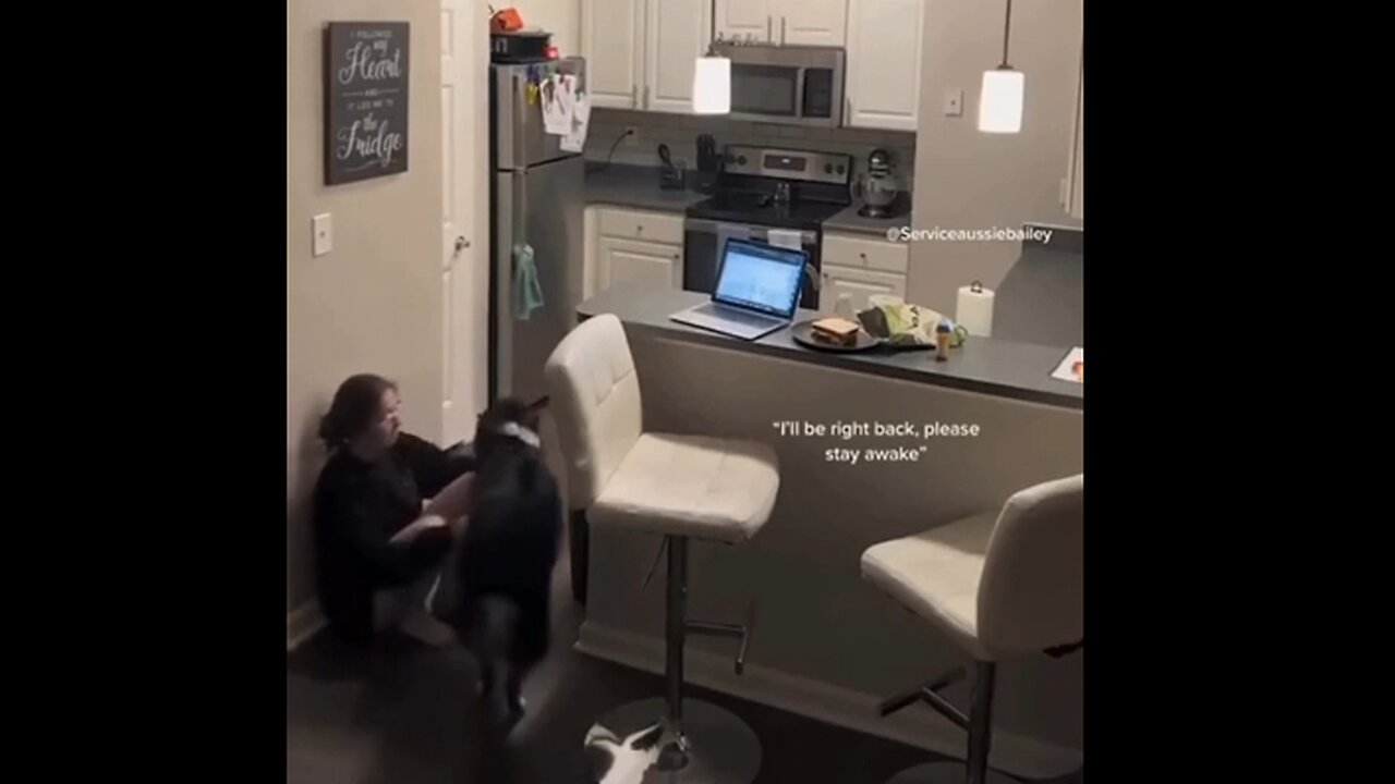Dogs are incredibly smart and their intuition is astounding