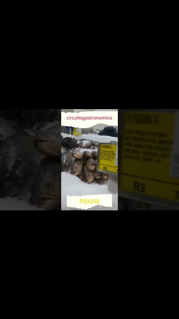 Peixaria do Circuito hoje tem peixe#shorts