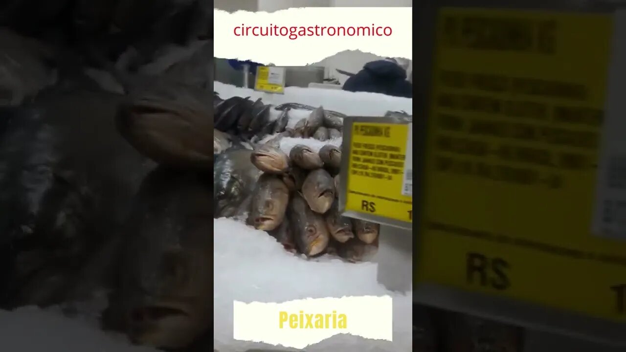 Peixaria do Circuito hoje tem peixe#shorts