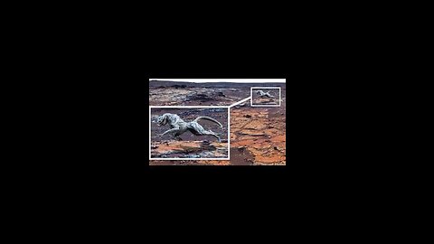 Nasa Release A pic from Mars