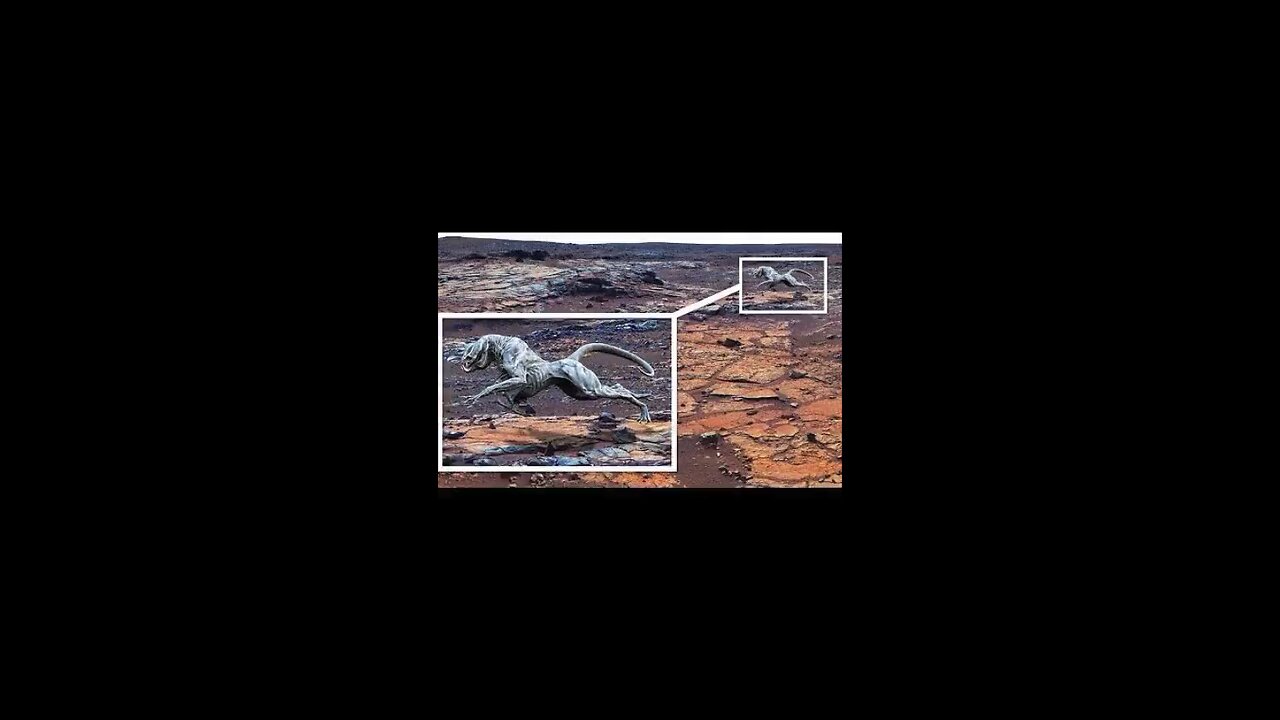 Nasa Release A pic from Mars