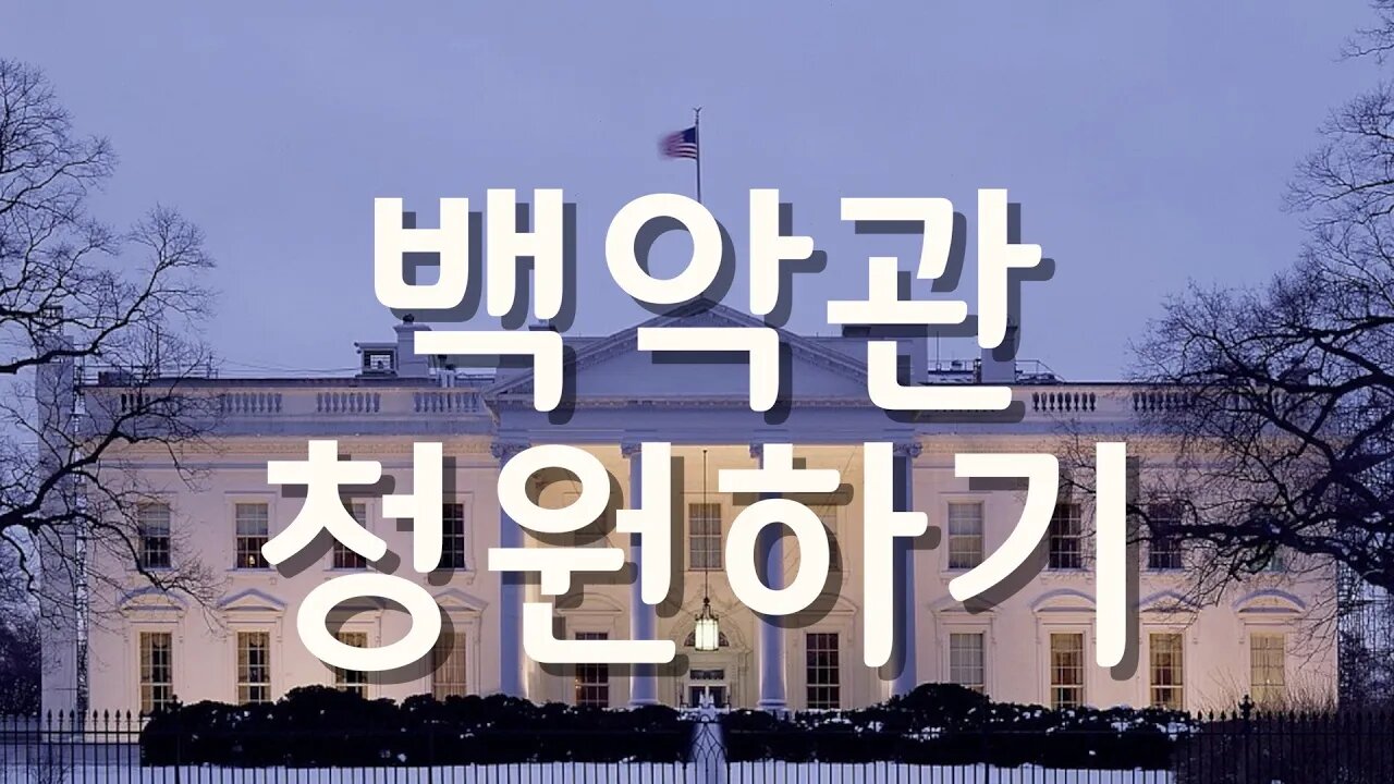 백악관 청원하기+Petition