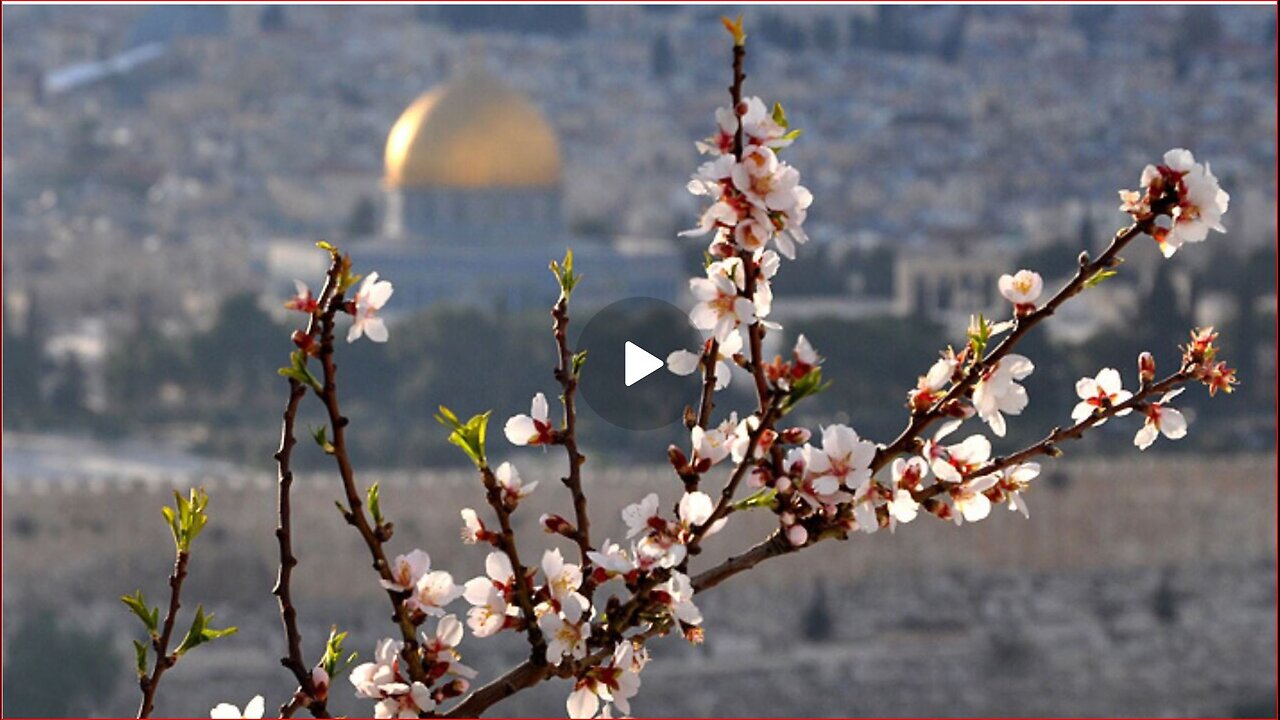 Passover intro 2024