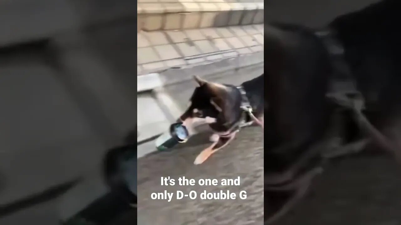 MEME is the one and only D-O double G #shorts