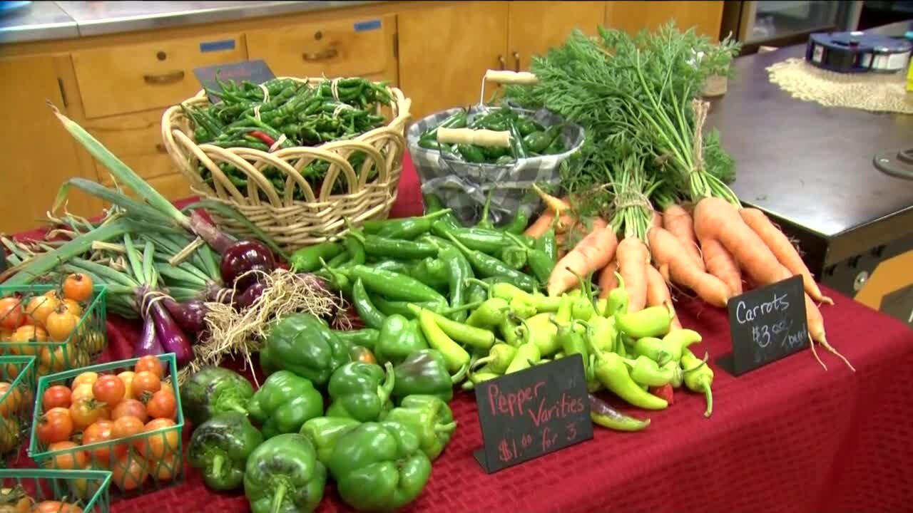 Vincent High School hosts Fall Harvest Fest