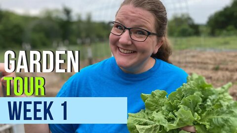 Garden Tour 2022: Week 1