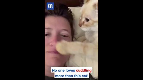 💋 NOSE KISS