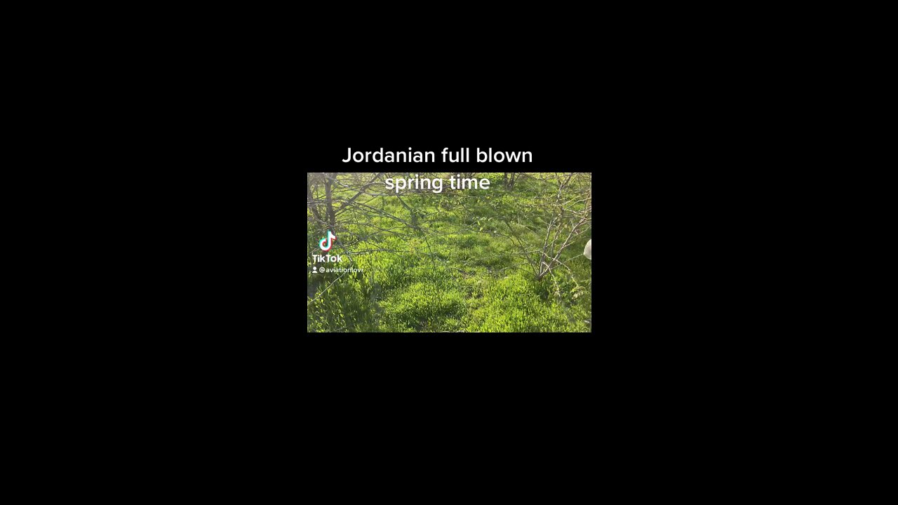 Beautiful spring time in Jordan