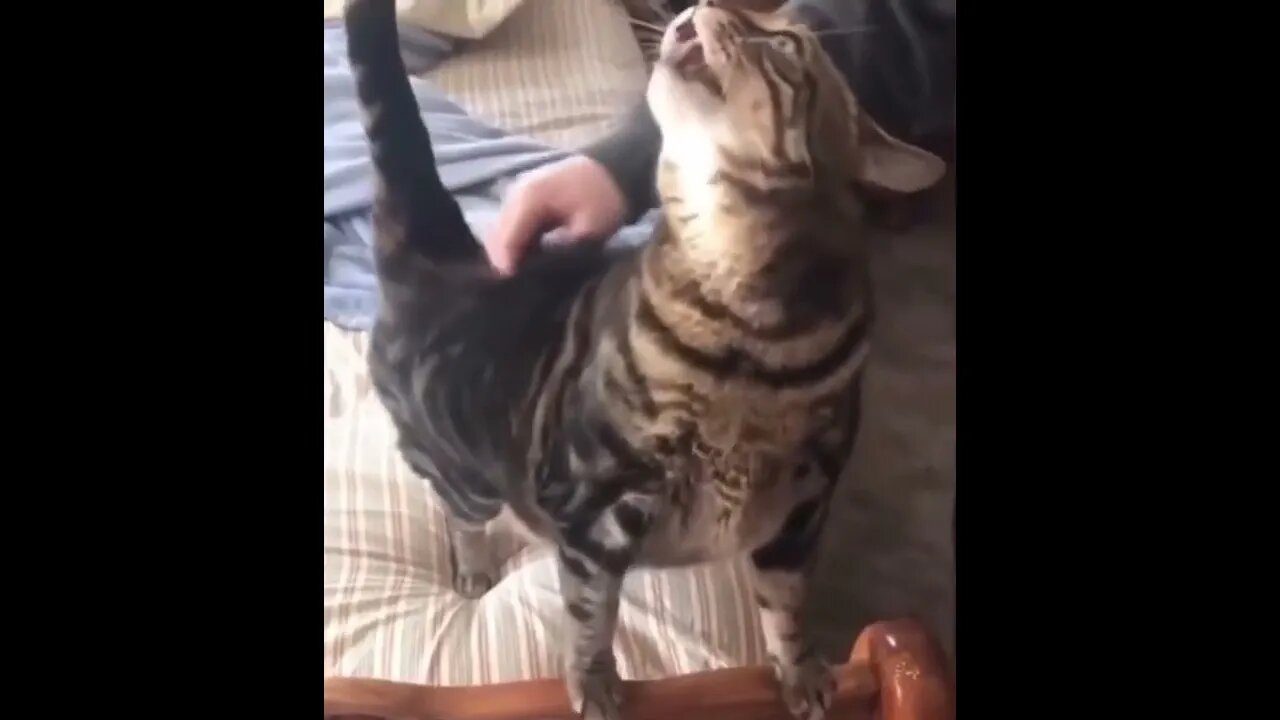 Don't do it again