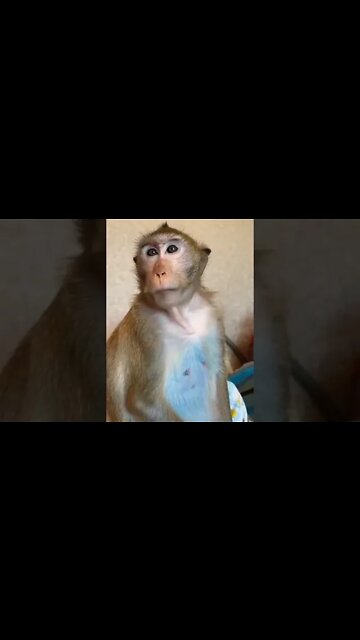 Quietly Angry #shorts #shortsfeed #shortvideo #clips