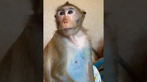 Quietly Angry #shorts #shortsfeed #shortvideo #clips