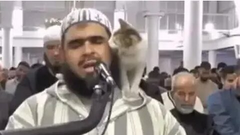 The miracleoftheimam'scatinAlgeriahappenedtodaythemosque,GlorybetoGod