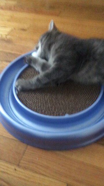 Playing with birthday present