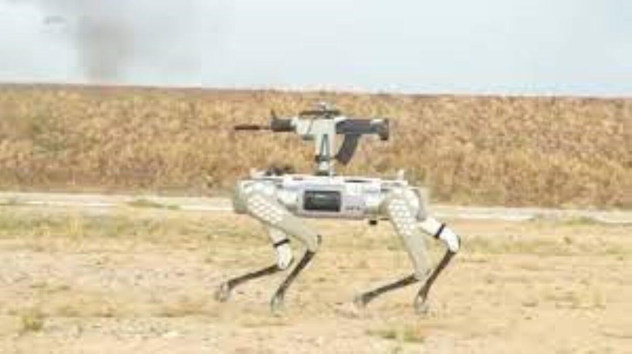 China's military shows off rifle-toting robot dogs ⚠️